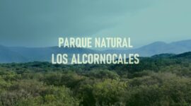  | MPN Los Alcornocales