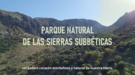  | MPN Subbética