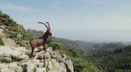  | MPN Sierra de las Nieves