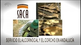 | SACA