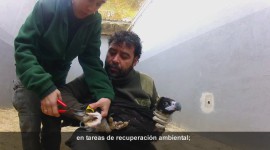 Sensibilización y Participación Ambiental | Proyecto Transhábitat