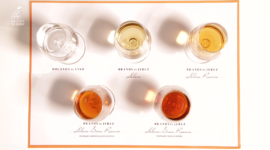 Cata Virtual | Brandy de Jerez