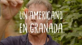 YBARRA | Doctor Salsas