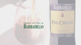 Vídeo | Catas - Barbadillo