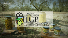 | IGP