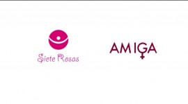 Menuda Lección De Igualdad | A.M.I.G.A.