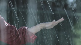 Vega e Hijos | LLUVIA