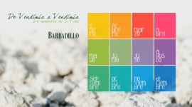 Los Momentos de la Viña | Barbadillo