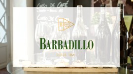  | Videocatas con Armando Guerra