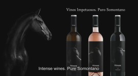 Videocatas | Bodegas Pirineos
