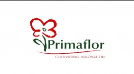  | Primaflor