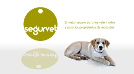 Segurvet | Andalbrok