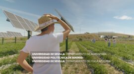 US | Sistema Agrovoltaico Hortícolas