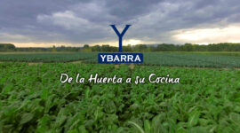 Verduras Ybarra | Ybarra