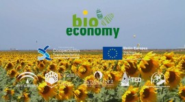  | Bioeconomy