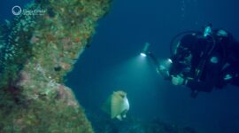  | Destino Náutico y de Buceo