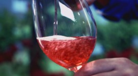 Video | Catas - Bodegas Pirineos