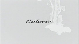 Colores | Canal Sur