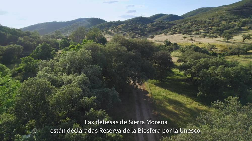 MPN Sierras de Aracena y Picos de Aroche