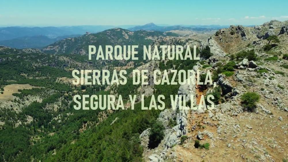 MPN Cazorla Segura y Las Villas