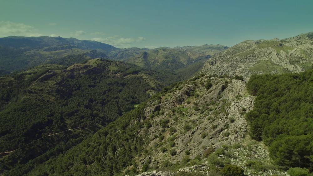 MPN Sierra de las Nieves