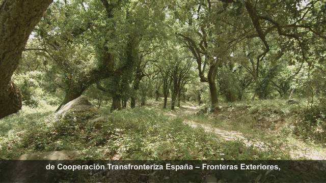 Proyecto Transhábitat