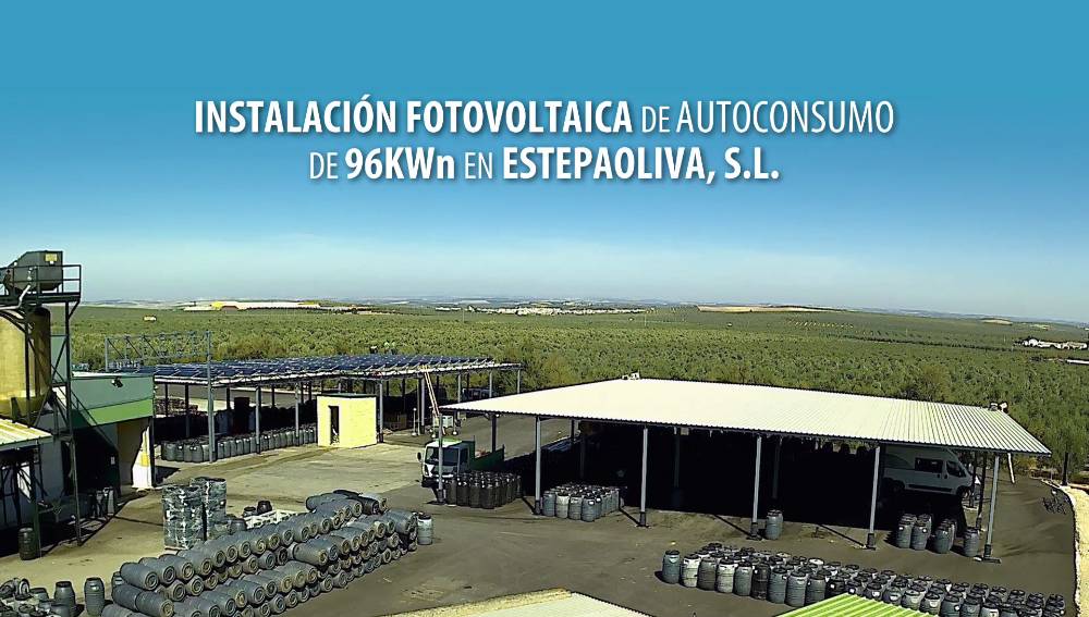 Planta de consumo Estepaoliva