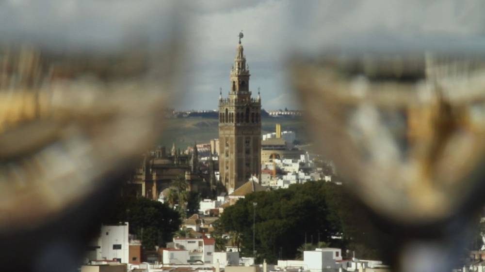 Rowing and Holiday Seville