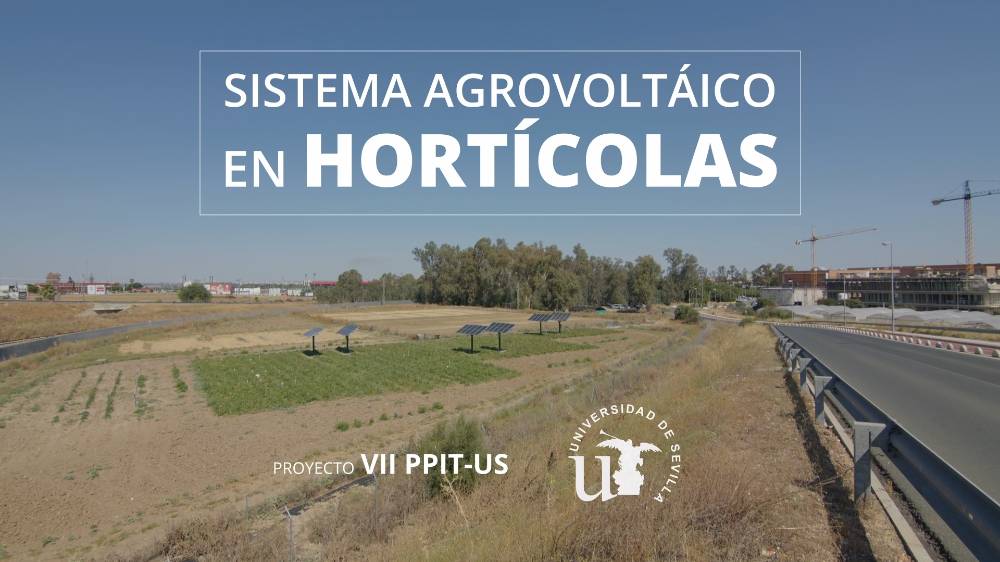 Sistema Agrovoltaico Hortícolas