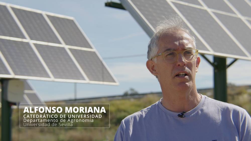 Sistema Agrovoltaico Hortícolas