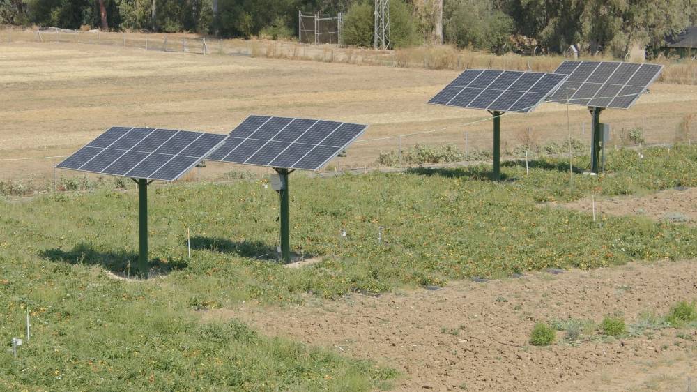 Sistema Agrovoltaico Hortícolas